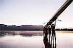 Rowing team entering lake at dawn with scull overhead