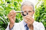 Scientist holding caliper in greenhouse