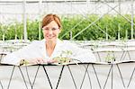 Portrait of smiling scientist with plants in greenhouse