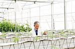 Botanist examining plants in greenhouse