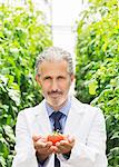 Portrait of botanist holding ripe tomato in greenhouse