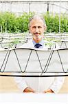 Portrait of confident botanist in greenhouse