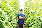 Portrait of confident worker among tomato plants in greenhouse