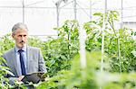 Botanist with clipboard examining tomato plants in greenhouse