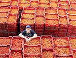 Portrait of worker standing among tomato crates