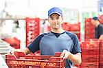 Portrait of confident worker holding crate of tomatoes in food processing plant