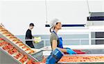 Worker carrying crate of tomatoes in food processing plant