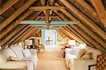 Luxury attic living room