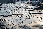 Terraced paddy-fields, Yuanyang, Yunnan, China, Asia