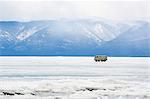 Driving on the lake, Maloe More (Little Sea), frozen lake during winter, Olkhon island, Lake Baikal, UNESCO World Heritage Site, Irkutsk Oblast, Siberia, Russia, Eurasia