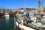 Commercial fishing boats at Fisherman's Wharf, San Francisco, California, United States of America, North America