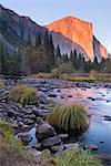 Evening sun setting on El Capitan above the Merced River, Yosemite Valley, Yosemite National Park, UNESCO World Heritage Site, California, United States of America, North America