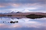 Snow covered Black Mount reflected in a lochan, Rannoch Moor, Highlands, Scotland, United Kingdom, Europe