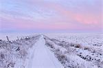 Man walking down a snowy track on a cold winter's day at dawn, Pockstones Moor, North Yorkshire, Yorkshire, England, United Kingdom, Europe