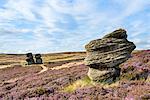 Jenny Twigg and her daughter Tib, gritstone formations on heather covered moors, Upper Nidderdale, North Yorkshire, Yorkshire, England, United Kingdom, Europe