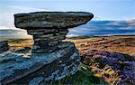 Gritstone rock formations amongst the heather clad moors of Upper Nidderdale, North Yorkshire, Yorkshire, England, United Kingdom, Europe