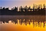 Forest Lake in early Spring, Breitenbuch, Amorbach, Odenwald, Lower Franconia, Bavaria, Germany