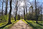 Path in early Spring, Park Schonbusch, Aschaffenburg, Spessart, Bavaria, Germany