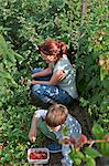 Mother and son berry-picking