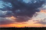 Silhouetted landscape at sunset, Kasane, Chobe National Park, Botswana, Africa