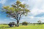 Stationary safari truck, Okavango Delta, Chobe National Park, Botswana, Africa