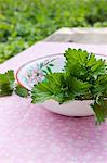 Freshly cut nettle tops in an old enamel bowl on a garden table