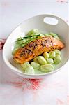 Salmon fillet with gnocchi and a herb & cream sauce