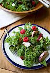 Lollo biondo lettuce with aubergines, raspberries and pine nuts