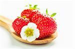 Strawberries with a strawberry flower on a wooden spoon