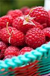 Fresh raspberries in a basket