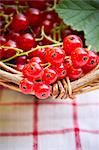 Redcurrants in a basket (close-up)