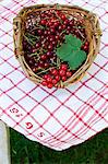 Redcurrants in a basket on a table outdoors