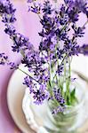 Lavender flowers in a glass of water as a table decoration