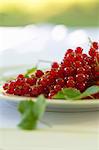 A plate of redcurrants on a table in the garden