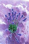 A bunch of lavender in a glass