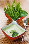 Herb soup with nettles, watercress, chervil, sorrel and chickweed