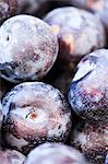 Organic Catalina Pluots from the Farmers Market