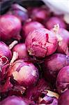 Red onions