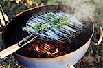 Sardines being barbecued