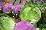 Assorted varieties of cabbage at the market