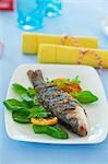 Grilled trout in vine leaves with fresh spinach