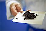 Man holding a plate with riso venere (black rice, Italian)