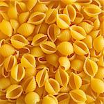 Pasta shells (filling the image)