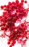 Redcurrants on ice