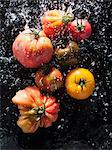 Tomatoes being sprayed with water
