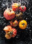 Tomatoes being sprayed with water