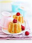 Mini raspberry charlottes