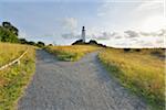 Forked Path to Lighthouse on the Dornbusch in the Morning, Summer, Baltic Island of Hiddensee, Baltic Sea, Western Pomerania, Germany