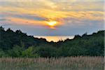 Baltic Sea at Sunset, Summer, Baltic Island of Hiddensee, Baltic Sea, Western Pomerania, Germany