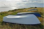 Boats docked on beach, Summer, Vitte, Baltic Island of Hiddensee, Baltic Sea, Western Pomerania, Germany